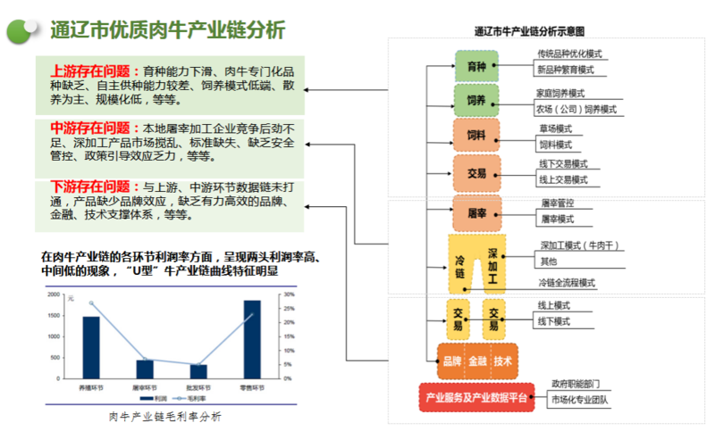 通辽市肉牛产业链实施方案